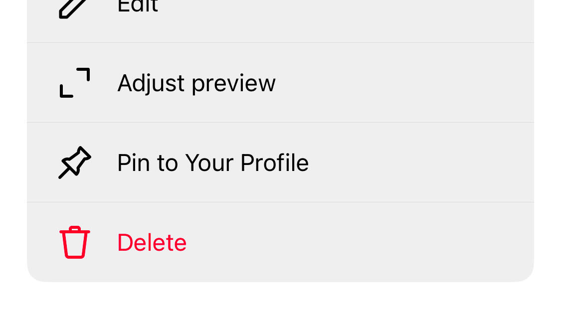 Instagram menu with options to Edit, Adjust preview, Pin to Your Profile, and Delete