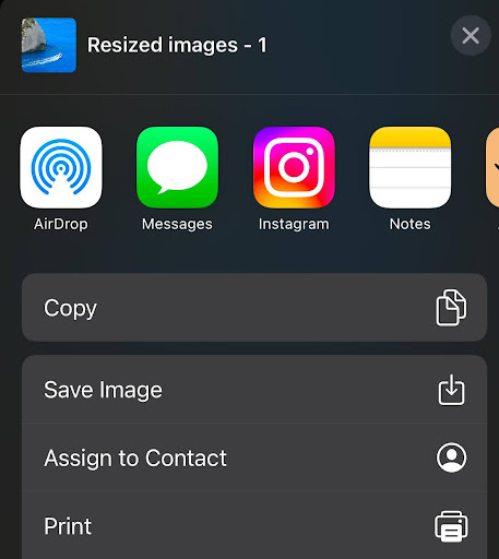 Sharing options in Photo & Picture Resizer app, showing options like AirDrop, Messages, Instagram, Notes, and Save Image